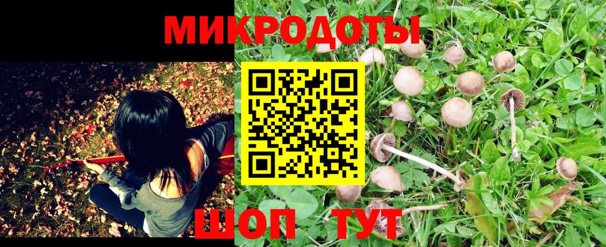 Южно-Сахалинск  Галлюциногенные грибы Cubensis  Вход с VPN 